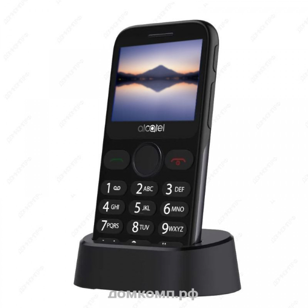 Мобильный телефон Alcatel 2019G серый недорого. домкомп.рф